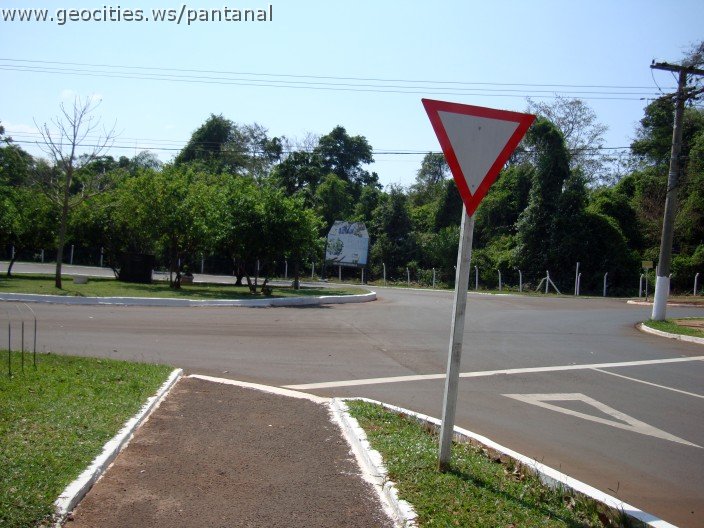 3817-geocities-ws-pantanal.jpg