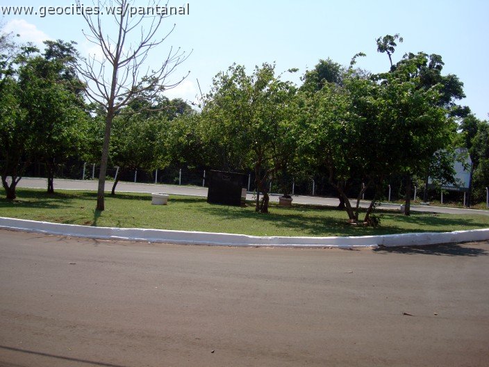 3818-geocities-ws-pantanal.jpg