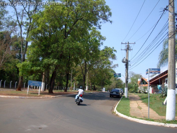 3819-geocities-ws-pantanal.jpg