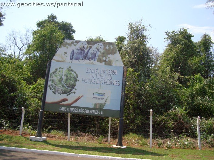 3821-geocities-ws-pantanal.jpg