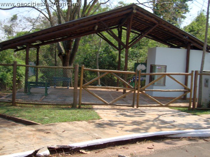 3824-geocities-ws-pantanal.jpg