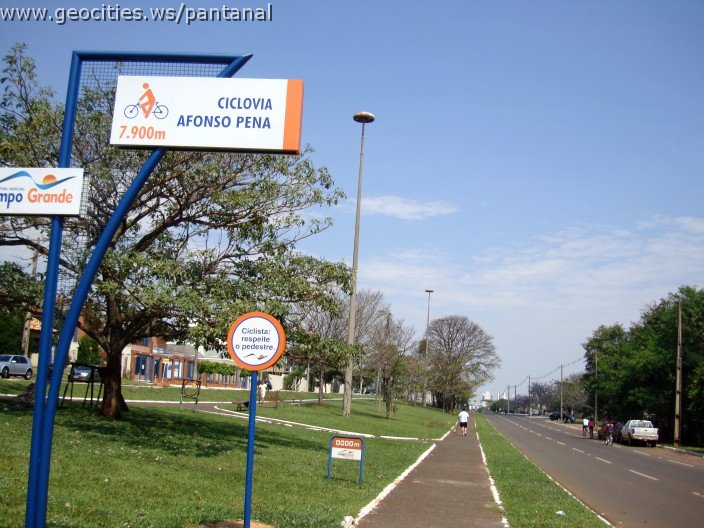 3828-geocities-ws-pantanal.jpg