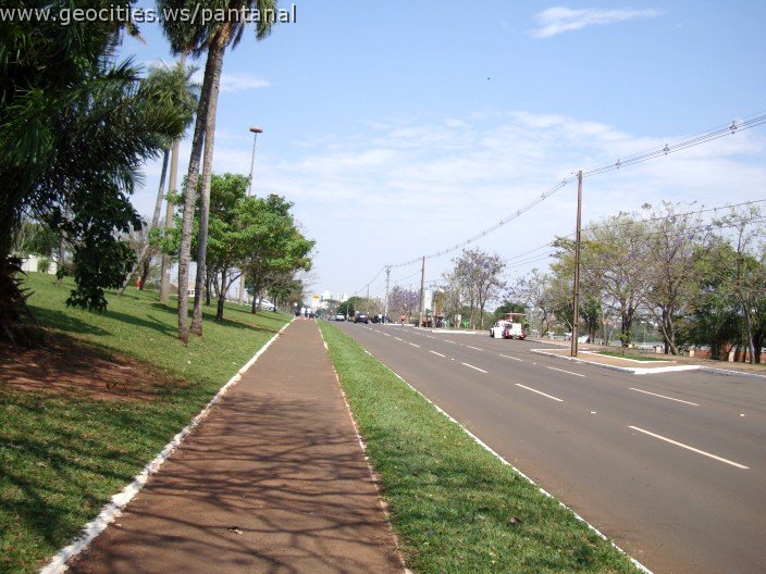 3832-geocities-ws-pantanal.jpg