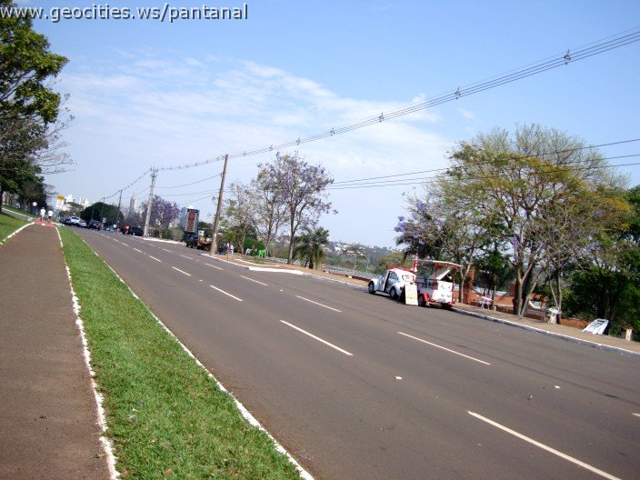 3833-geocities-ws-pantanal.jpg