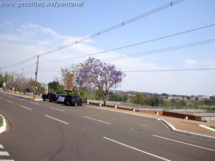 3837-geocities-ws-pantanal.jpg