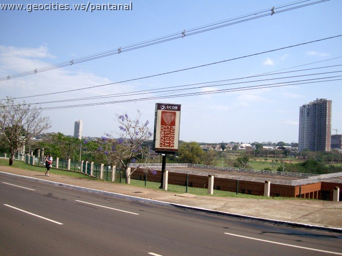 3840-geocities-ws-pantanal.jpg