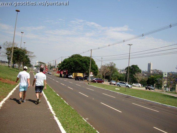 3842-geocities-ws-pantanal.jpg