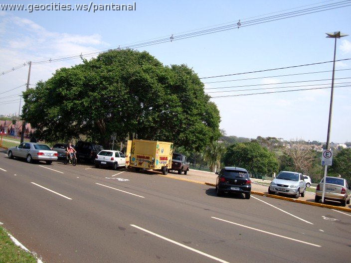 3843-geocities-ws-pantanal.jpg