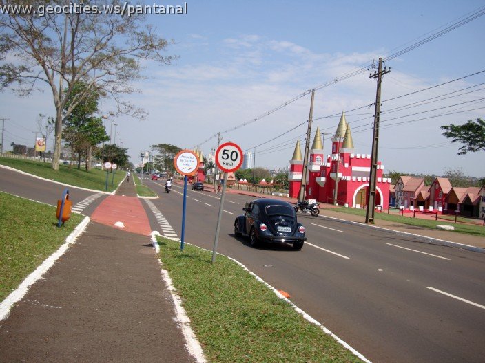 3845-geocities-ws-pantanal.jpg