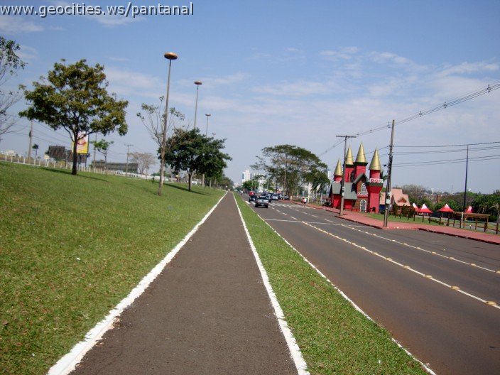 3848-geocities-ws-pantanal.jpg