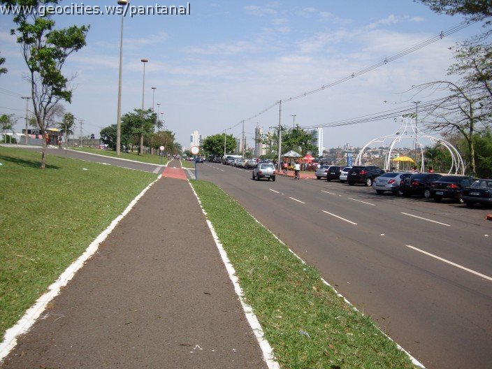 3854-geocities-ws-pantanal.jpg