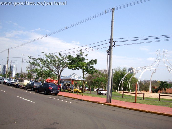 3857-geocities-ws-pantanal.jpg