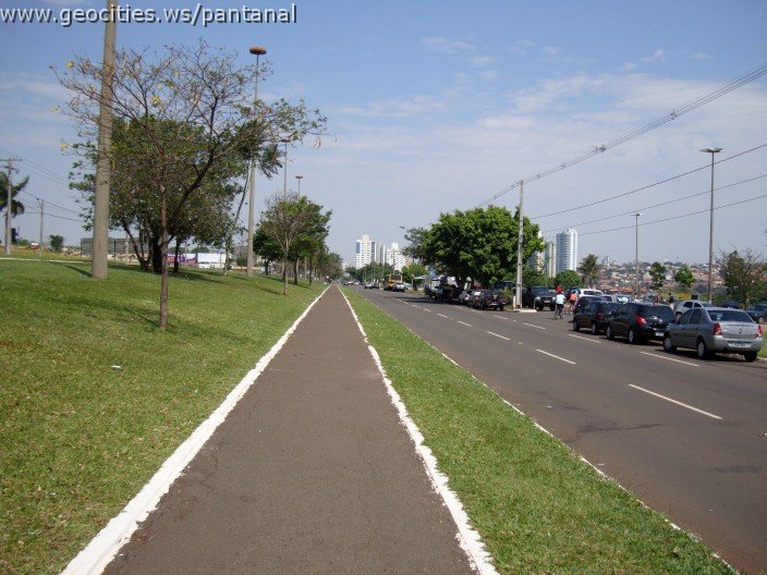 3859-geocities-ws-pantanal.jpg