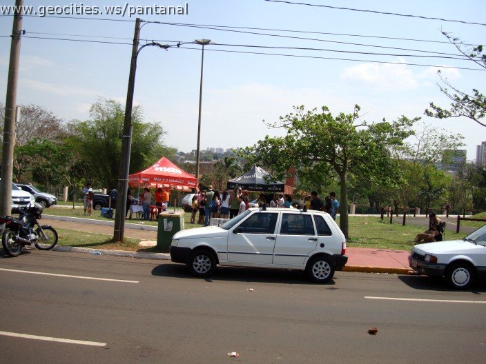 3860-geocities-ws-pantanal.jpg