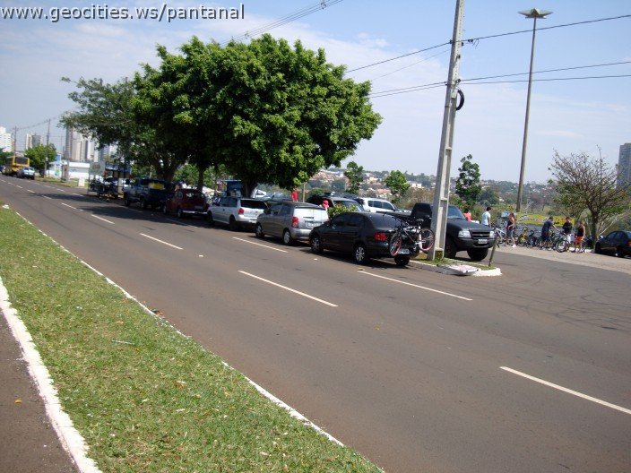 3862-geocities-ws-pantanal.jpg