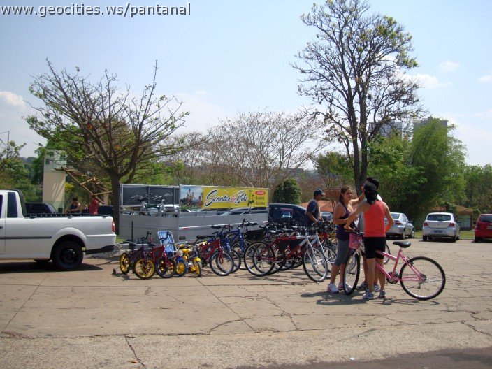 3868-geocities-ws-pantanal.jpg