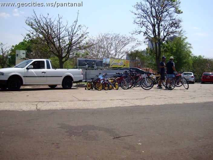 3870-geocities-ws-pantanal.jpg