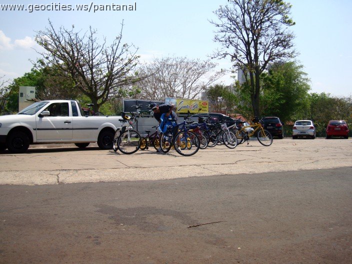 3873-geocities-ws-pantanal.jpg
