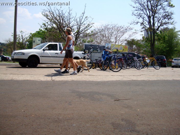 3874-geocities-ws-pantanal.jpg