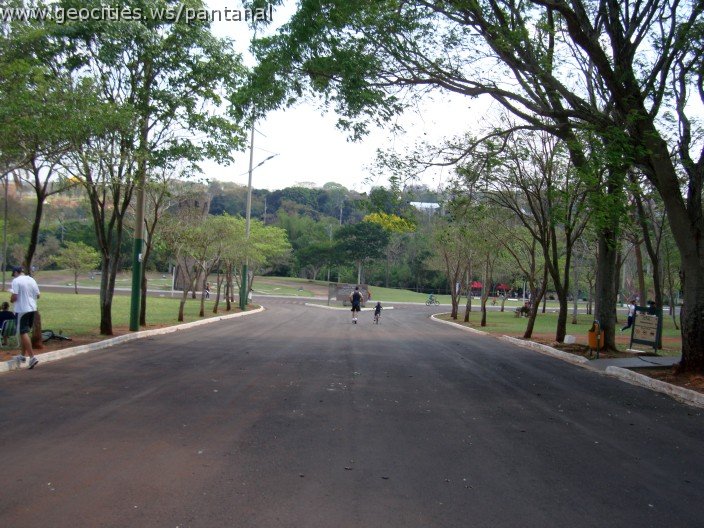 3880-geocities-ws-pantanal.jpg
