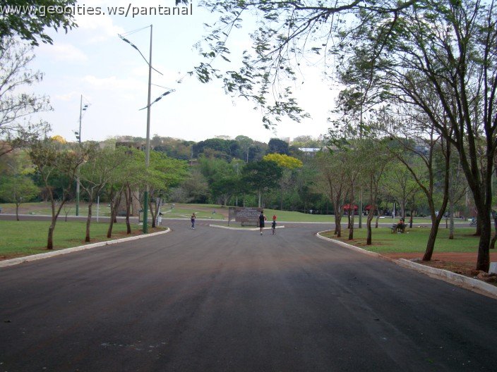 3881-geocities-ws-pantanal.jpg