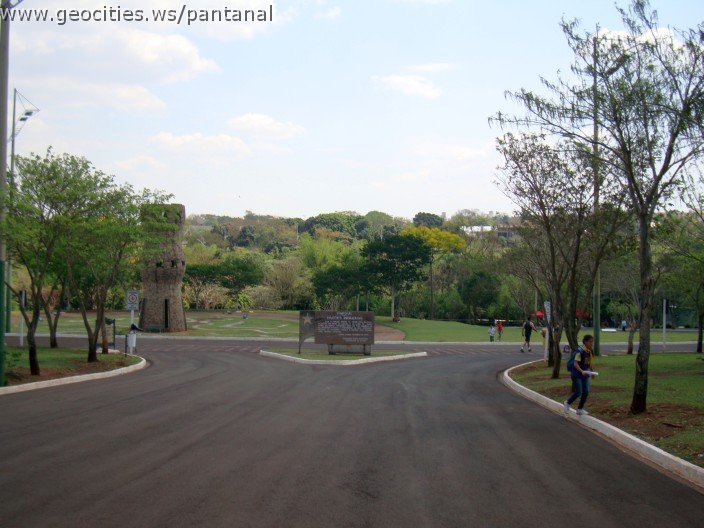 3883-geocities-ws-pantanal.jpg