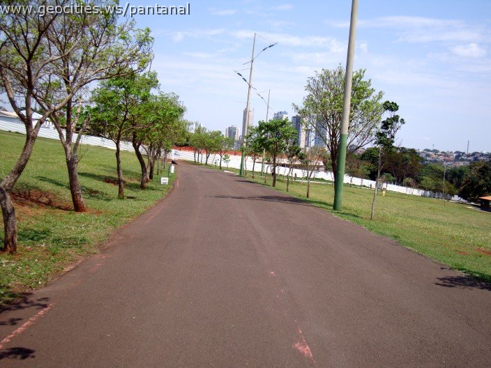 3889-geocities-ws-pantanal.jpg