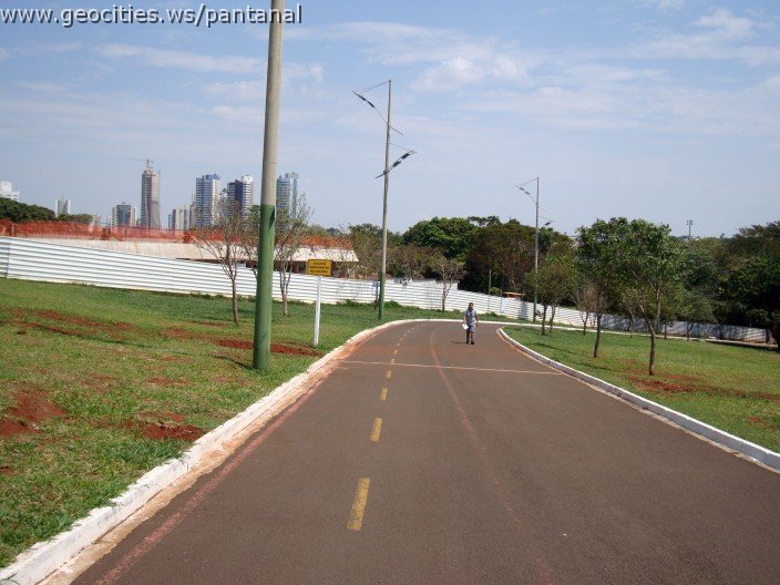 3891-geocities-ws-pantanal.jpg