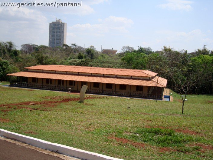 3892-geocities-ws-pantanal.jpg