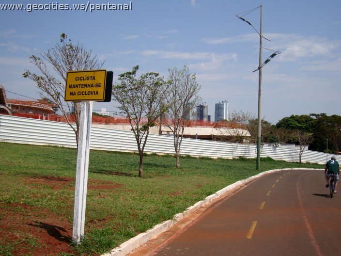 3893-geocities-ws-pantanal.jpg