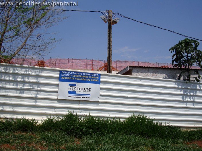3895-geocities-ws-pantanal.jpg