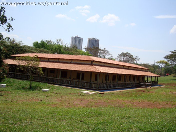 3897-geocities-ws-pantanal.jpg