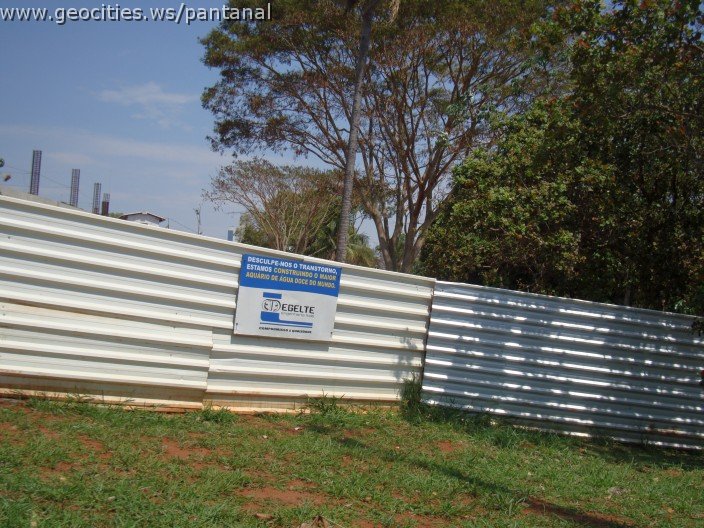 3898-geocities-ws-pantanal.jpg