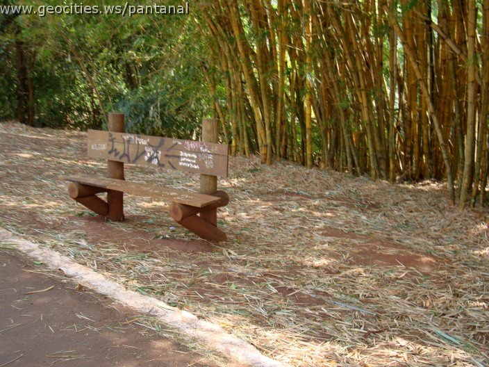 3902-geocities-ws-pantanal.jpg
