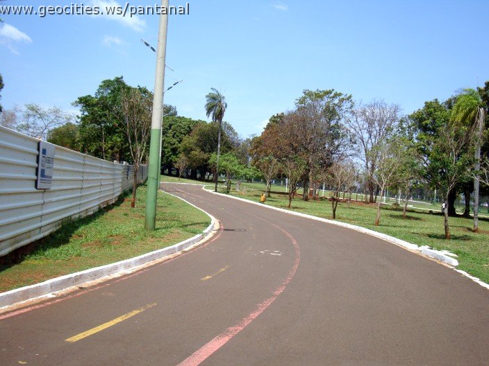 3906-geocities-ws-pantanal.jpg