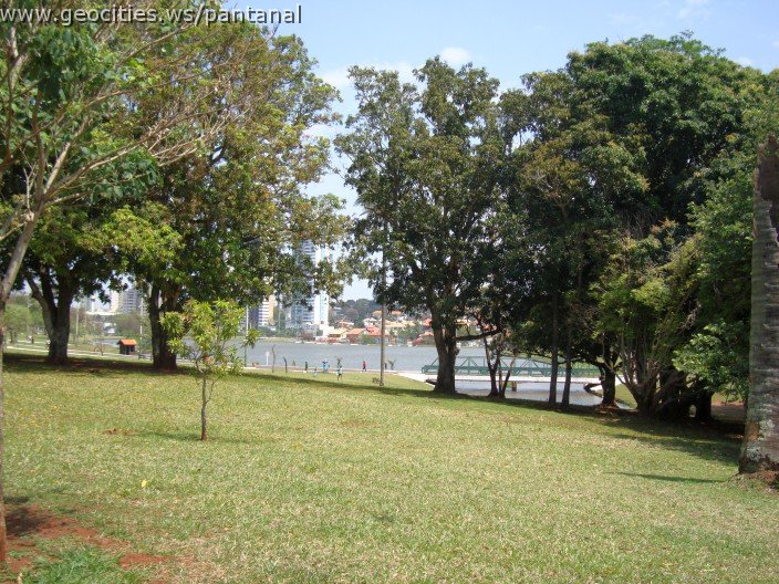 3908-geocities-ws-pantanal.jpg