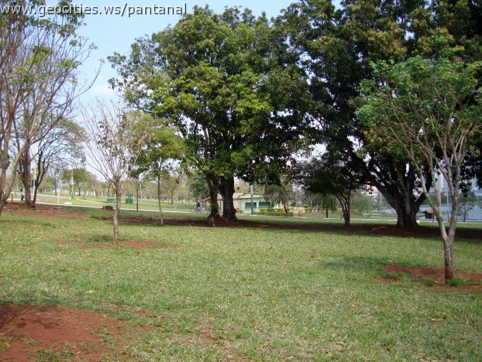 3912-geocities-ws-pantanal.jpg