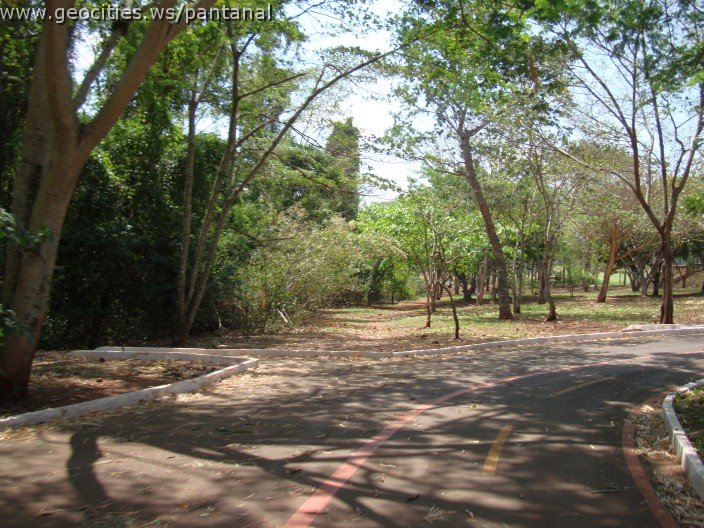 3915-geocities-ws-pantanal.jpg