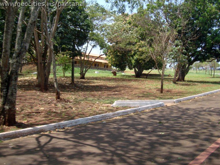 3916-geocities-ws-pantanal.jpg