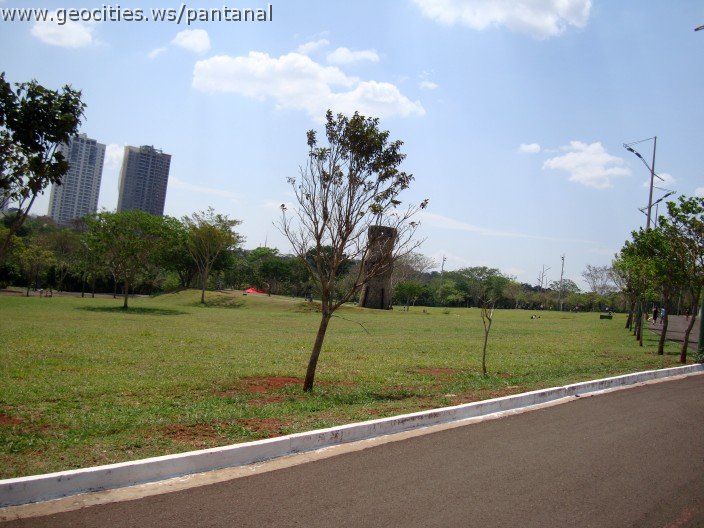 3919-geocities-ws-pantanal.jpg