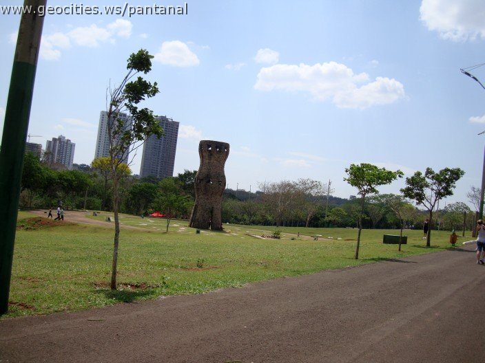 3922-geocities-ws-pantanal.jpg