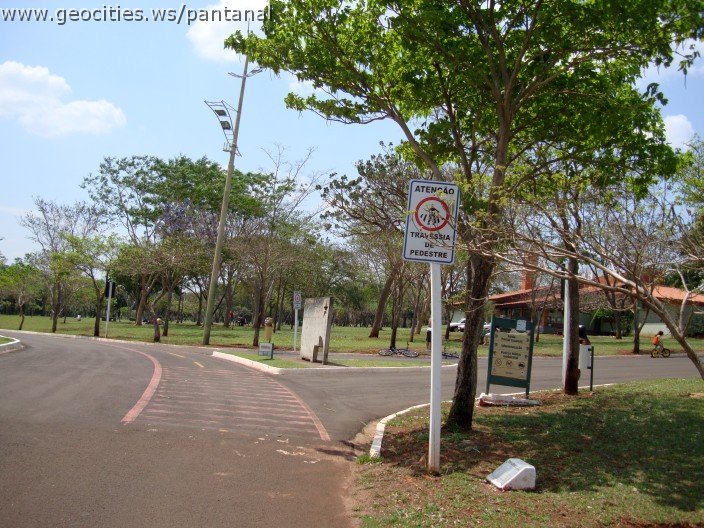3924-geocities-ws-pantanal.jpg