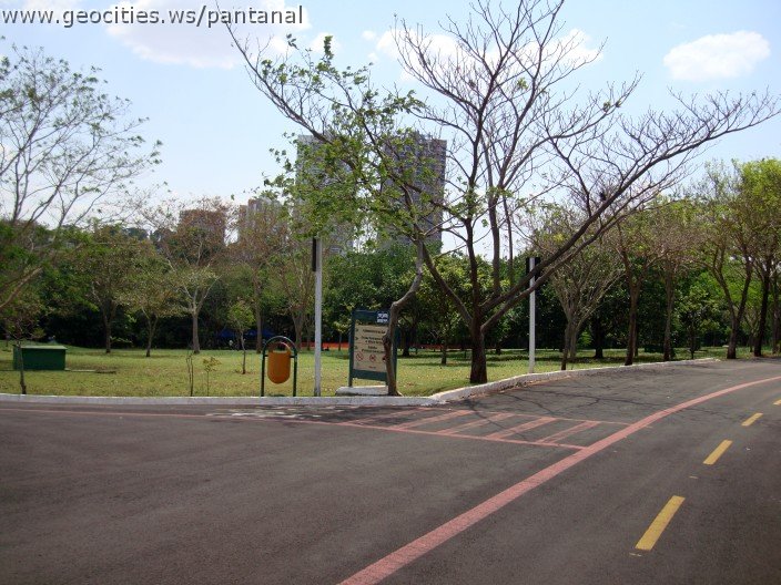 3927-geocities-ws-pantanal.jpg