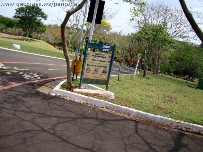 3928-geocities-ws-pantanal.jpg