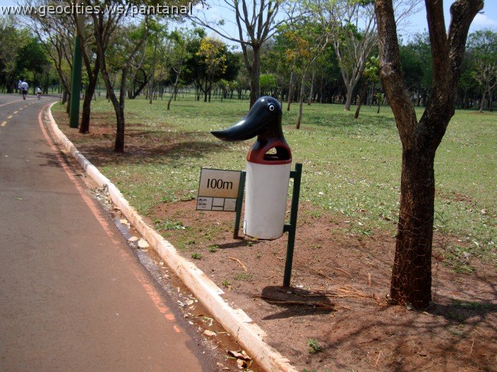 3929-geocities-ws-pantanal.jpg