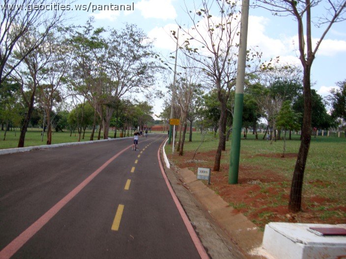 3932-geocities-ws-pantanal.jpg