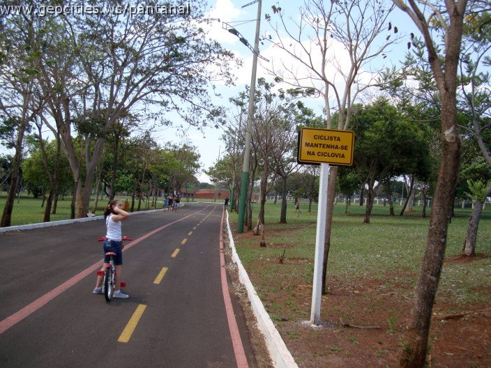 3933-geocities-ws-pantanal.jpg