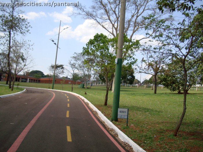 3936-geocities-ws-pantanal.jpg