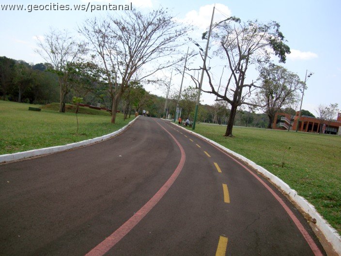 3937-geocities-ws-pantanal.jpg
