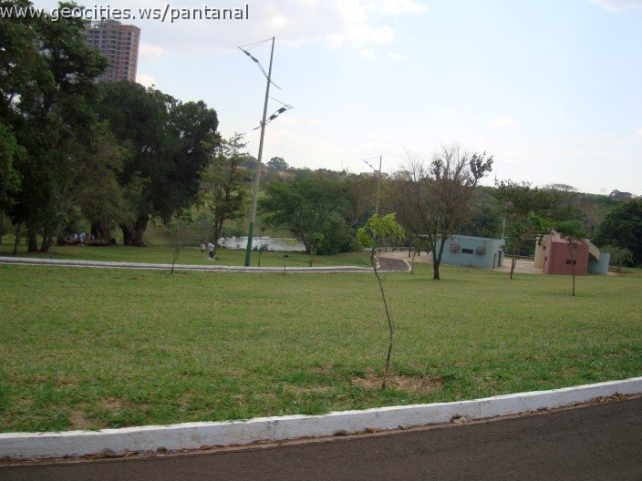 3938-geocities-ws-pantanal.jpg